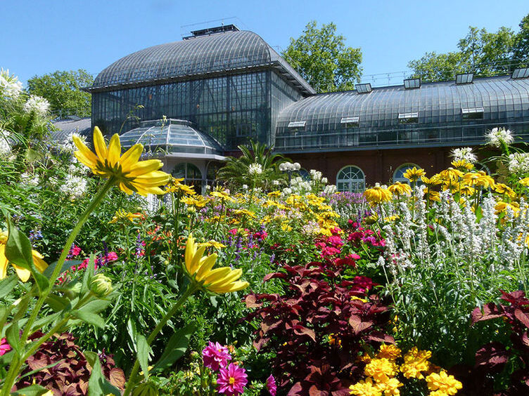 法兰克福：棕榈园（棕榈园) - Frankfurt am Main | Secret World Trip Planner