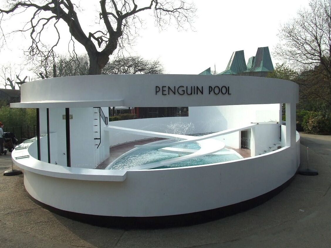 Penguin Blumbang ing London Zoo - Londra NW1 4RY | Secret World Trip Planner
