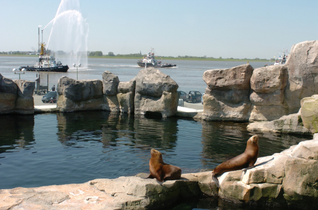 Deniz kenarında hayvanat bahçesi - Bremerhaven | Secret World Trip Planner