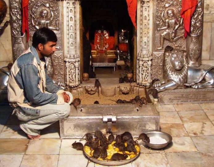 Karni Mata Temple
