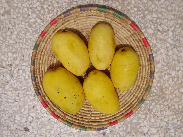 Mango Chaunsa - Kurukshetra | Secret World Trip Planner