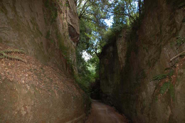 Nekropolis Etruria di Sovana