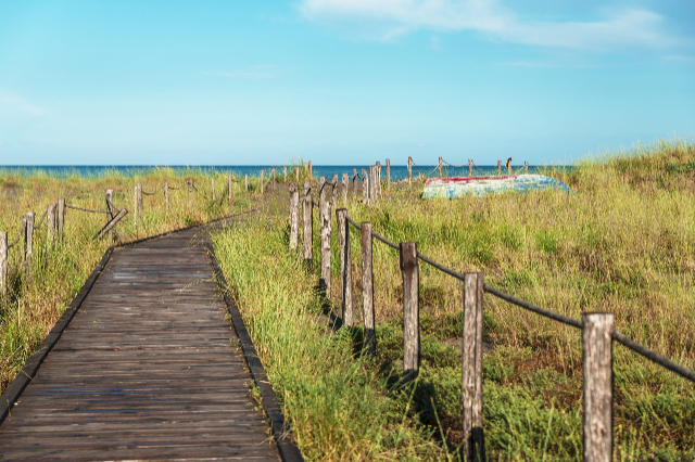 Policoroko WWF oasia arakatzen - 1 | Secret World Trip Planner