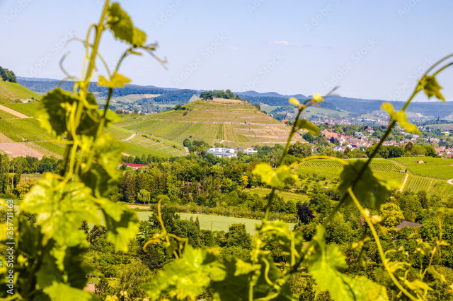 Weinsberg: The Town of Legendary Loyalty and Timeless Wine - Weinsberg | Secret World Trip Planner