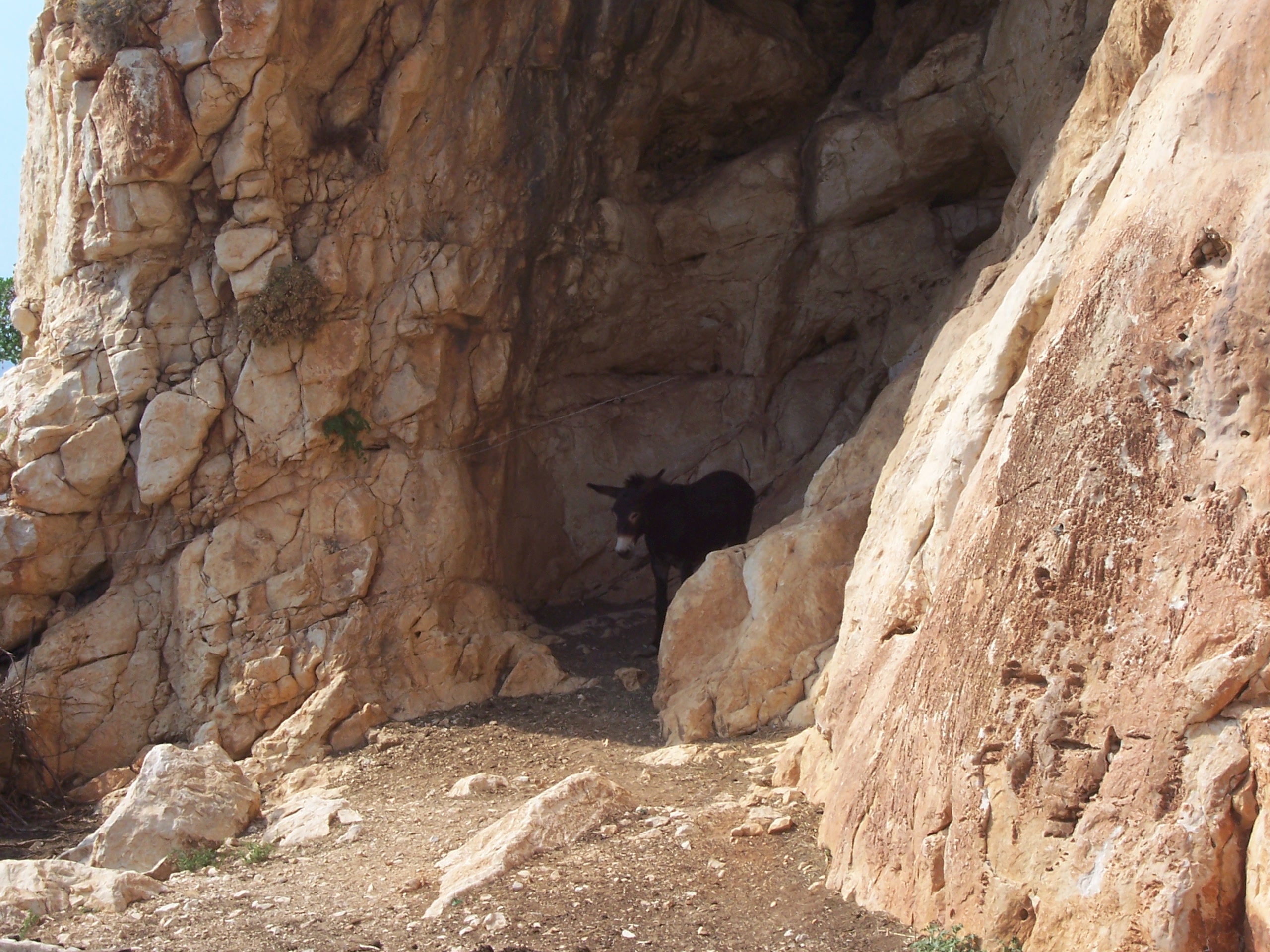 ງາມຫຼາຍຍ່າງປ່າໃນພູ Cofano ສະຫງວນ - Custonaci | Secret World Trip Planner