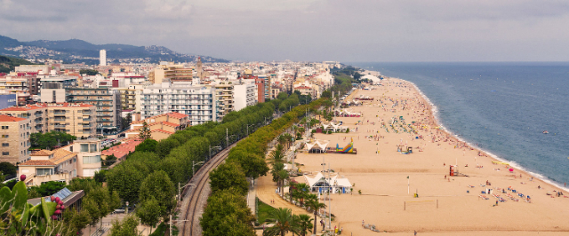 hoa cúc - Calella | Secret World Trip Planner