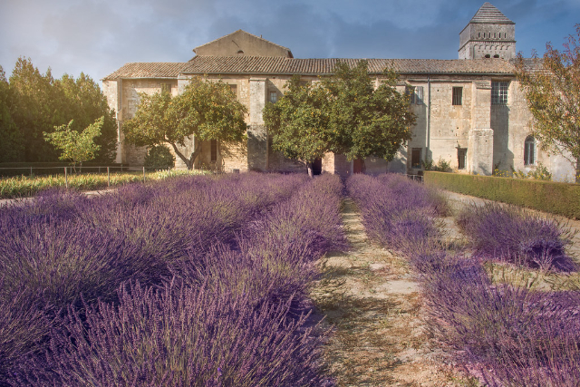 Ван Гог ба Сент-Пол-де-Маузолийн хийд - Saint-Rémy-de-Provence | Secret World Trip Planner