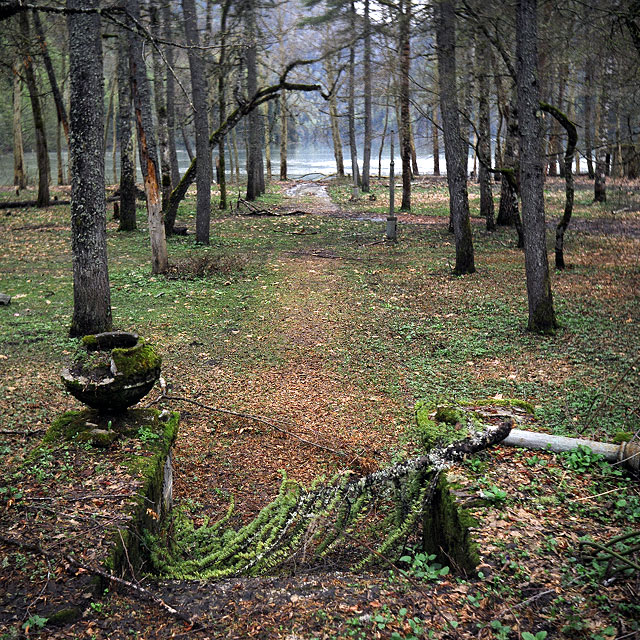 El lago Ritsa en Georgia | Secret World Trip Planner