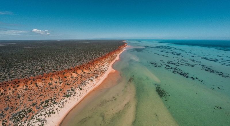 Shark Bay, Gʻarbiy Avstraliya - Contea di Shark Bay | Secret World Trip Planner