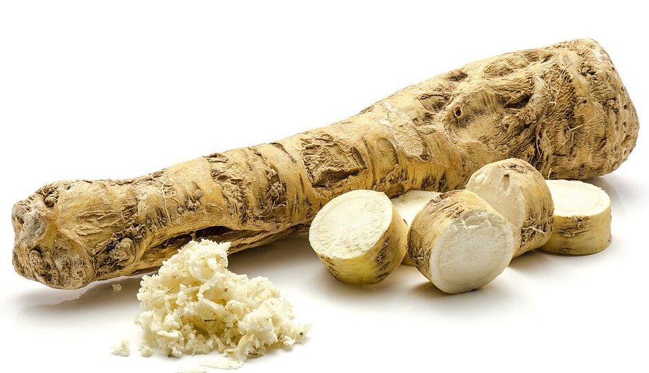 Styrian Horseradish - Stiria | Secret World Trip Planner