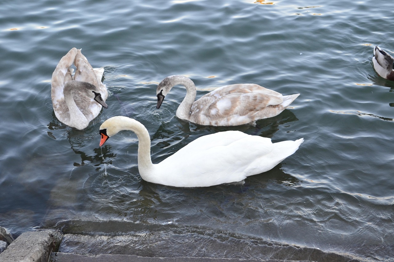 Styrian Horseradish - Stiria | Secret World Trip Planner