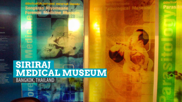 Siriraj Medical Museum Bangkok, Thailand - Bangkok | Secret World Trip Planner