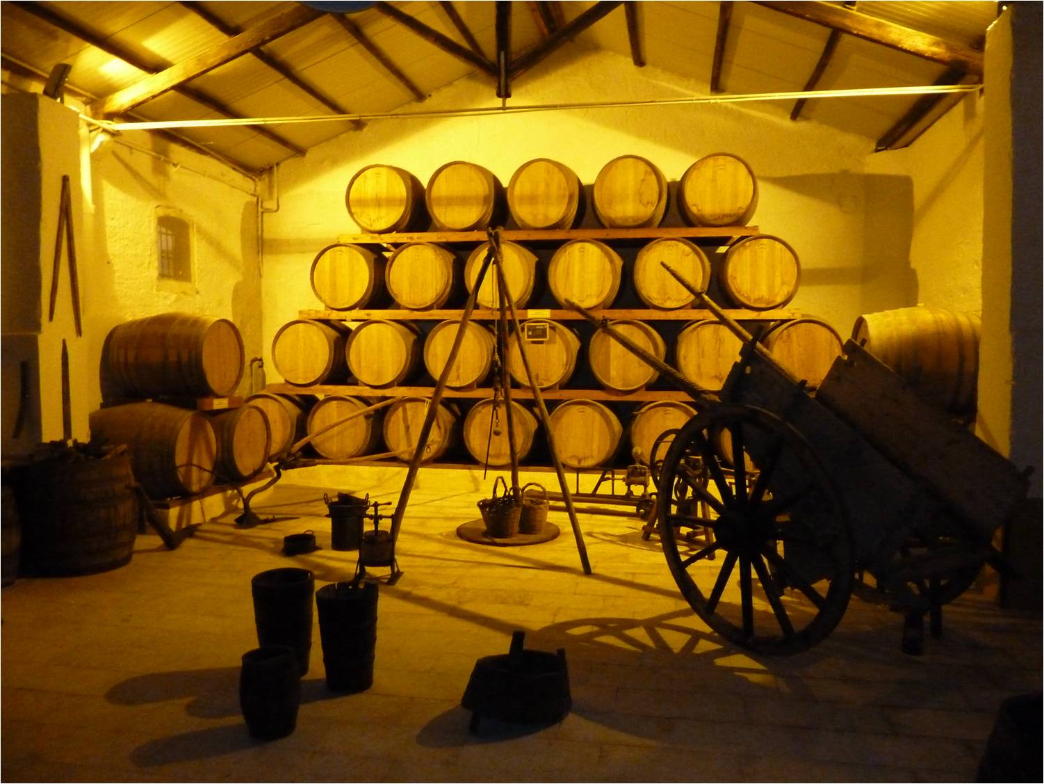 Marsala ardo gotortua - Marsala | Secret World Trip Planner