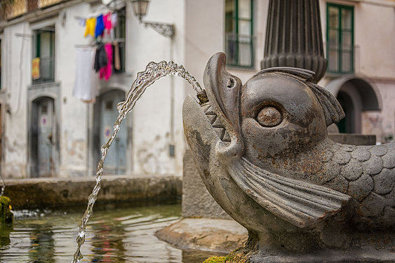 Fish fountain