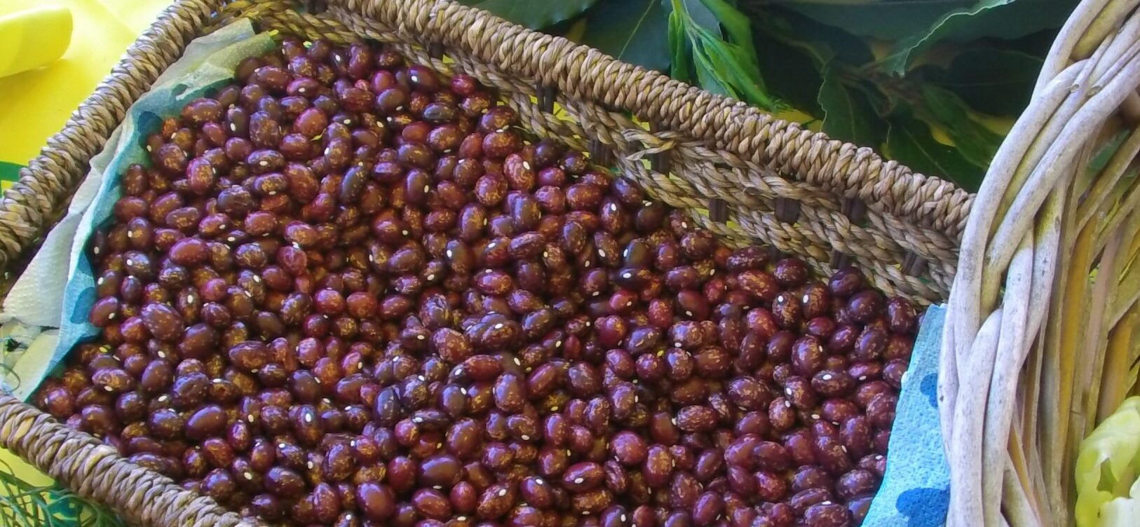 Il fagiolo zampognaro, oro “nero” dell'isola d'Ischia - Ischia | Secret World Trip Planner