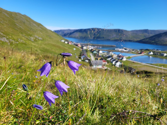 Skarsvåg کا ماہی گیری گاؤں - Skutnesveien | Secret World Trip Planner