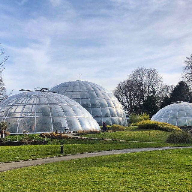 Botanická záhrada - Zürich | Secret World Trip Planner