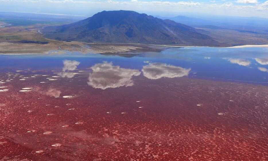Lake Natron,virkilega ógnvekjandi lake | Secret World Trip Planner