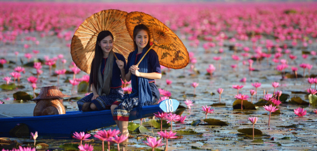 Llac Lotus Vermell - ตำบล แชแล | Secret World Trip Planner