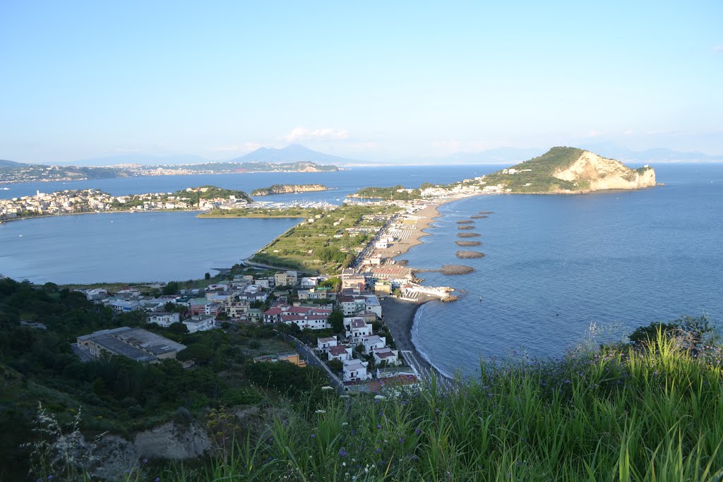 Ostrov Punta Pennata: roh raja