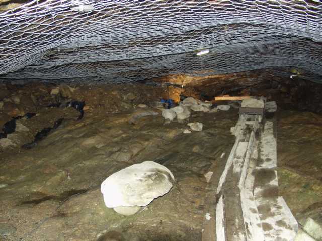 سوسیلوولا (غار گرگ)