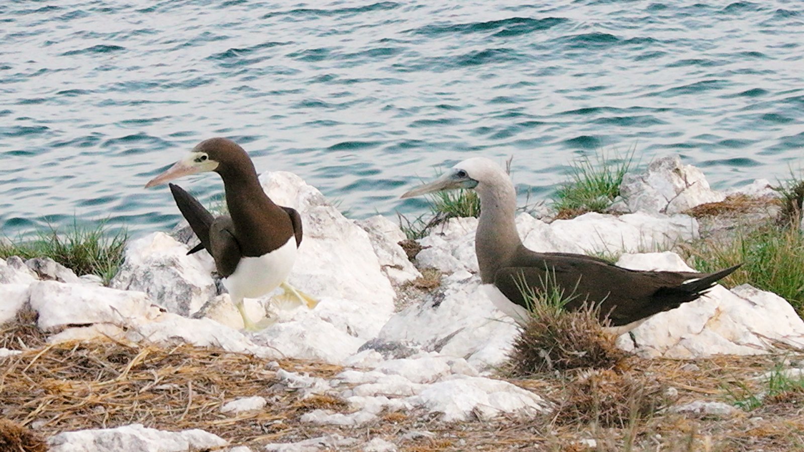 Isole Marieta - Isole Marieta | Secret World Trip Planner