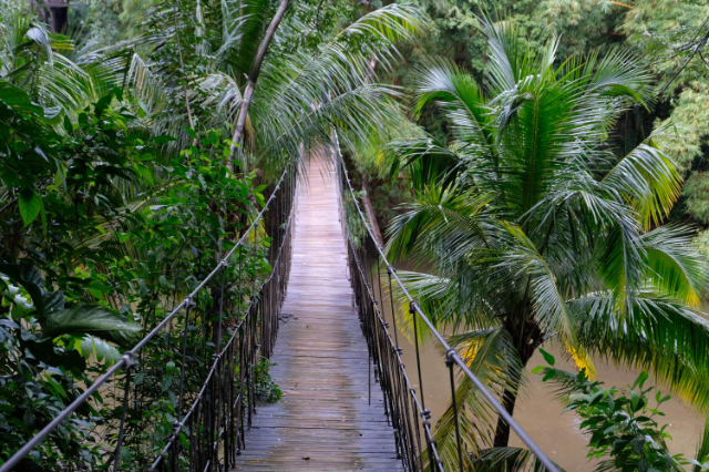 Parc de Gumbalimba - West Bay | Secret World Trip Planner