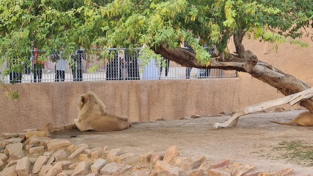 Riyadh Zoo: A Journey into Nature and Wonder - Riyadh | Secret World Trip Planner
