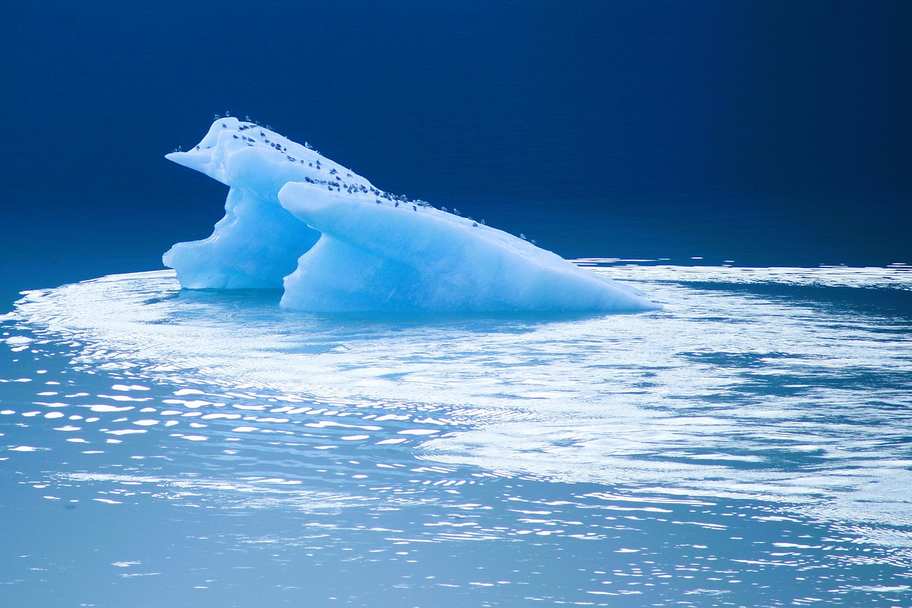 Glaciar Mendenhall - Juneau | Secret World Trip Planner