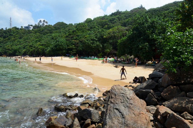 bãi biển rừng rậm - Jungle Beach | Secret World Trip Planner