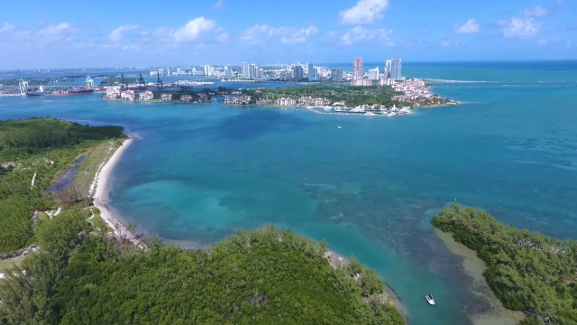 Virginia Key Beach ပန်းခြံ - Florida | Secret World Trip Planner