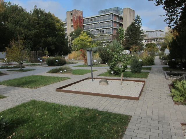 Uniwersytecki Ogród Botaniczny - Heidelberg | Secret World Trip Planner