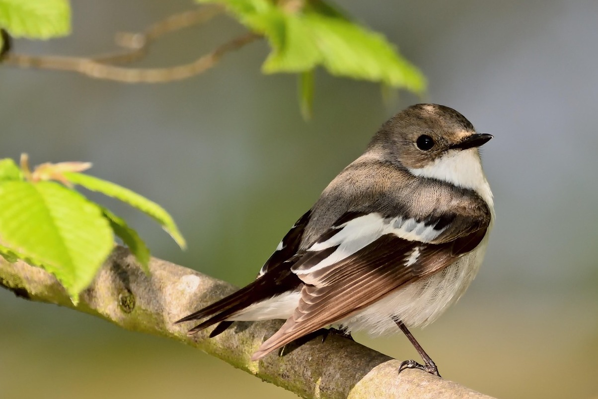 Park Kultury Station a Gorky Park - Mosca | Secret World Trip Planner