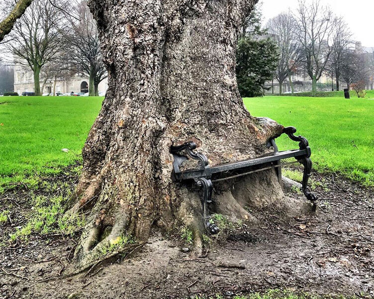 Dublin / A Árvore Faminta - Dublin | Secret World Trip Planner