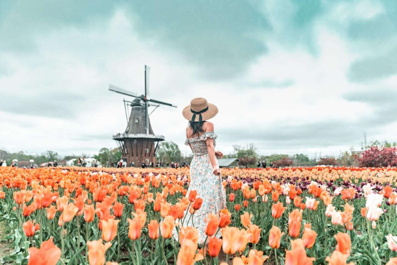 Festival tulipánov - Holland | Secret World Trip Planner