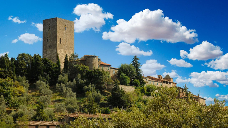 Dorrea 