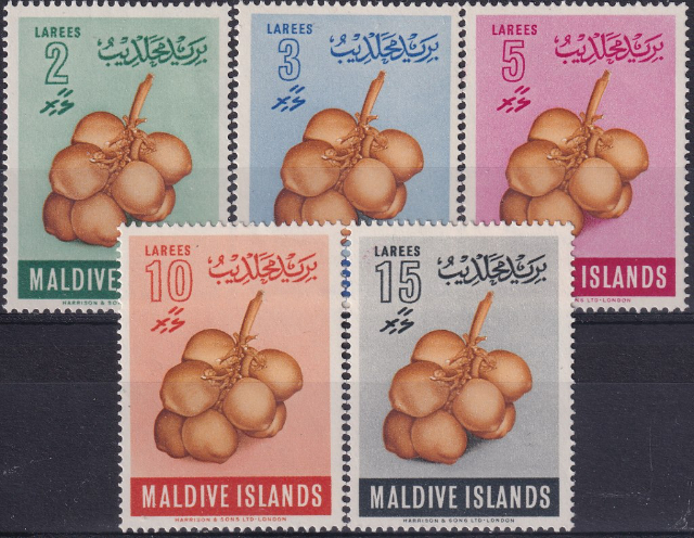 Produits typiques de la noix de coco - Malè | Secret World Trip Planner