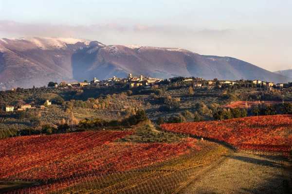 Sagrantino di Montefalco