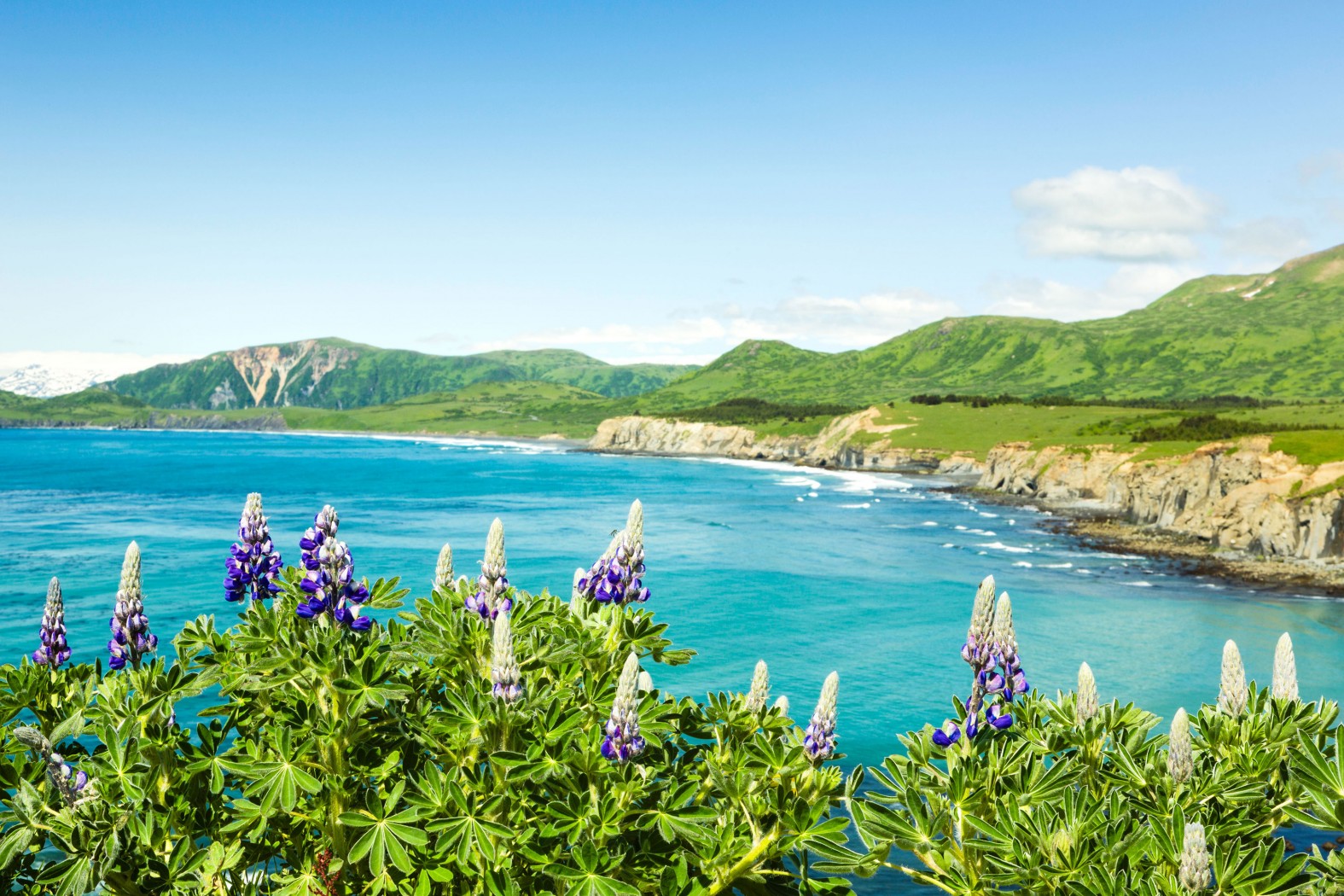 Kodiak Is A Rugged Beautiful Island In Al Secret World