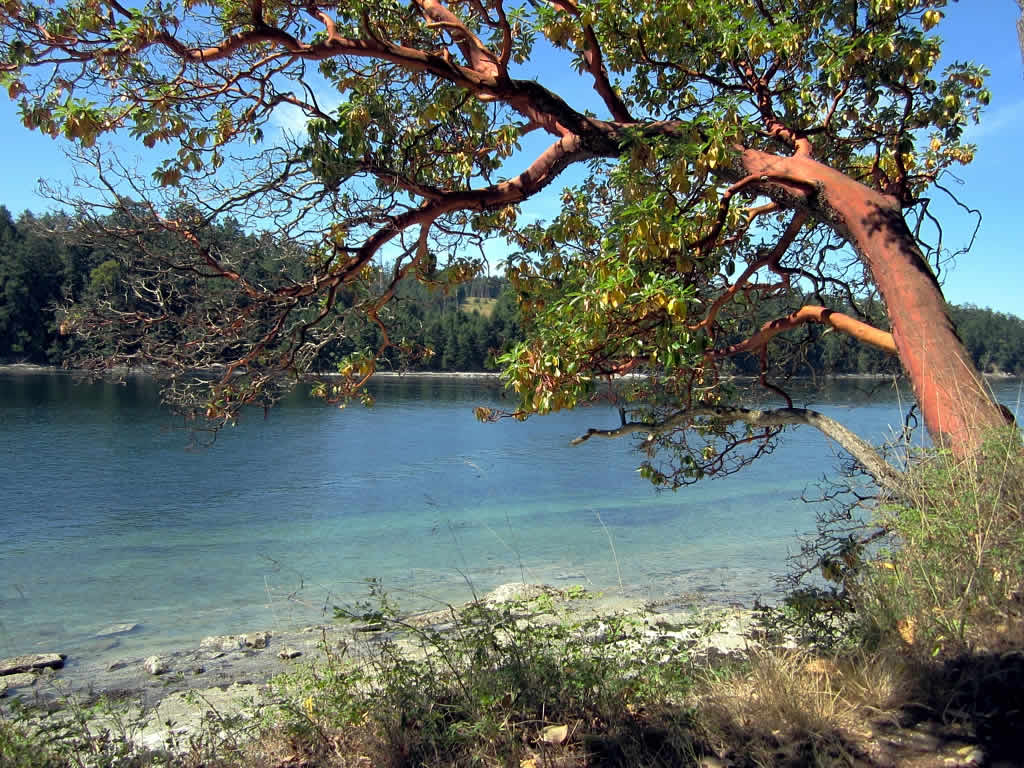 Canada | Tuyệt Vời Đảo Vịnh  - Isole Gulf | Secret World Trip Planner