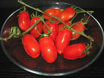 San Marzano - Koningstomaat