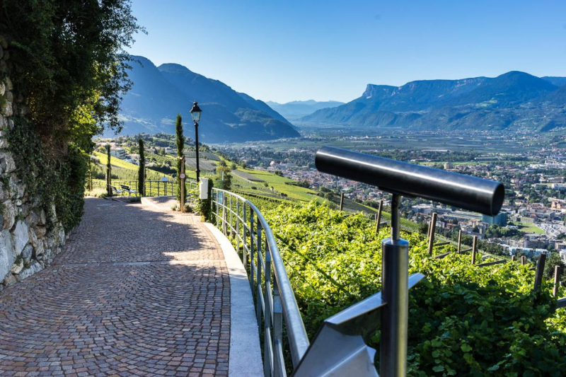 రోడ్డు మీద