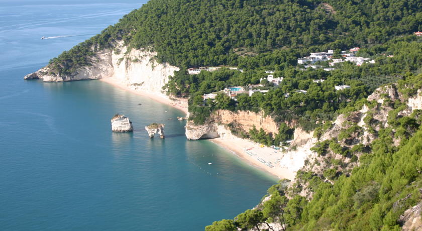 Zagare įlanka