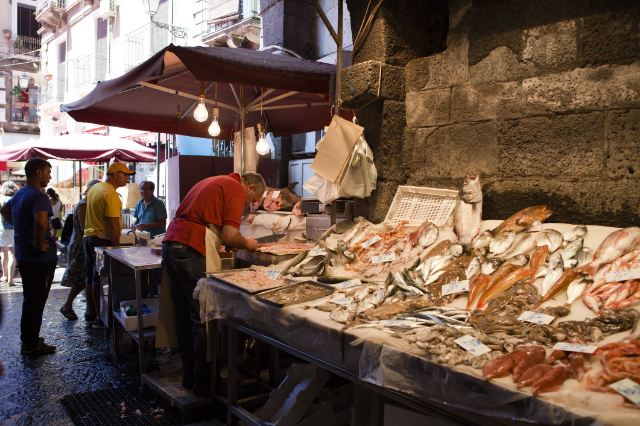 ငါးဆိုင် - Catania | Secret World Trip Planner