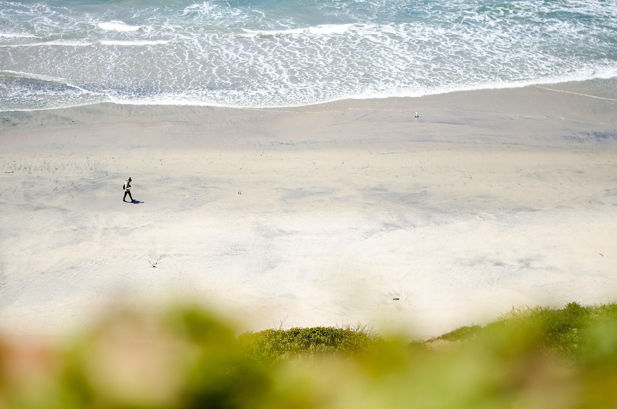 ಸ್ಯಾನ್ ಡಿಯಾಗೋ ಮತ್ತು 2,300-ಹೆಕ್ಟೇರ್ ಪಾರ್ಕ್ ತನ್ನ ಈಸ್ಟ್ ಸೈಡ್ - San Diego | Secret World Trip Planner