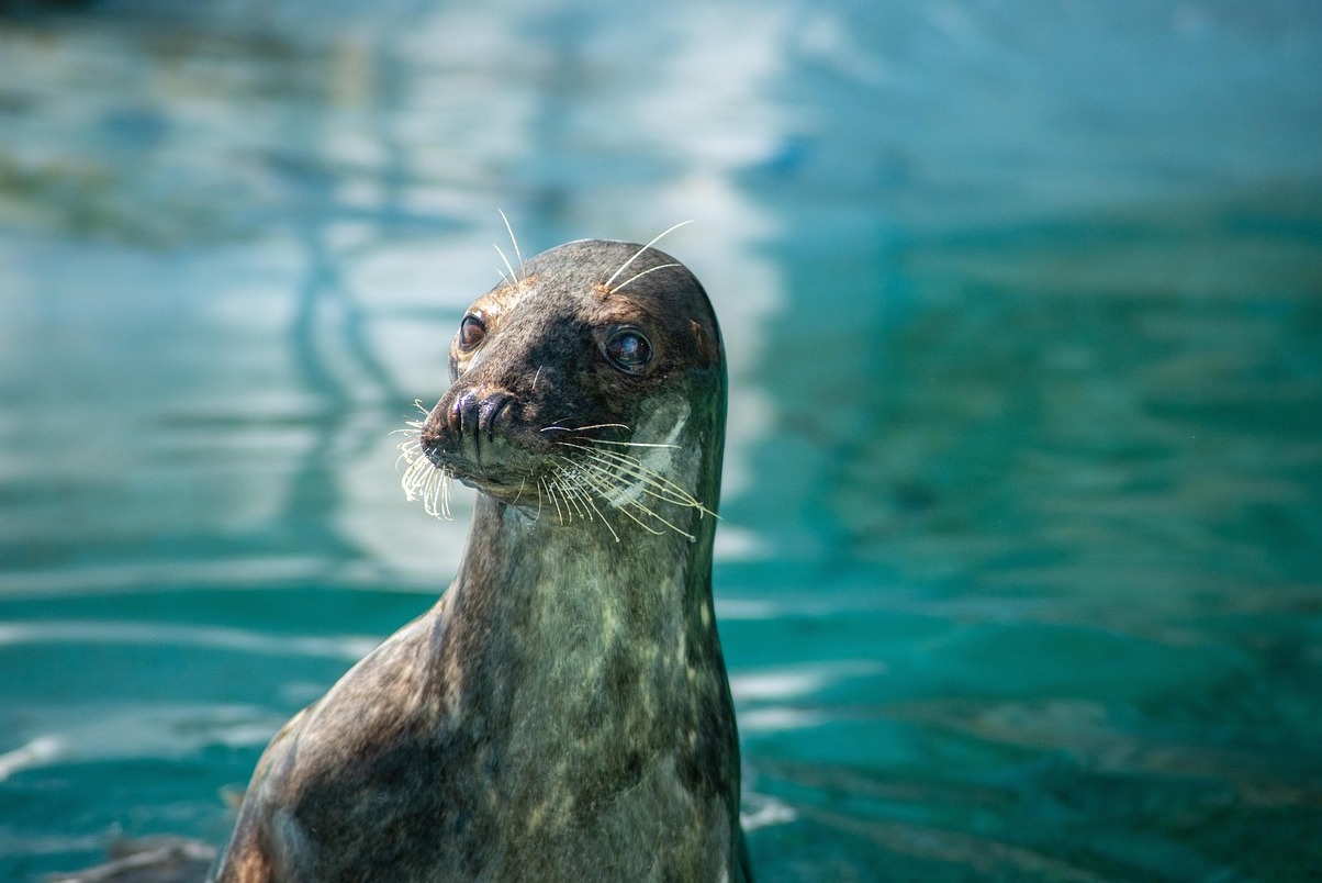 Zoo Cleveland Metroparks - Cleveland | Secret World Trip Planner