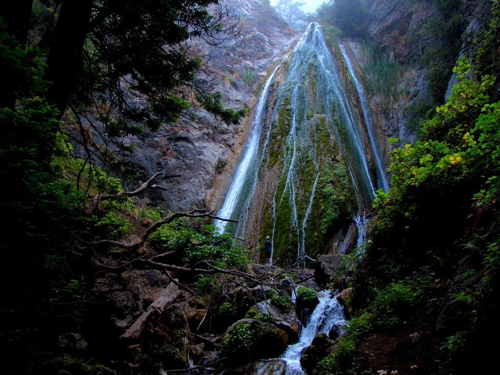Taman Nasional Limekiln Falls - Big Sur | Secret World Trip Planner