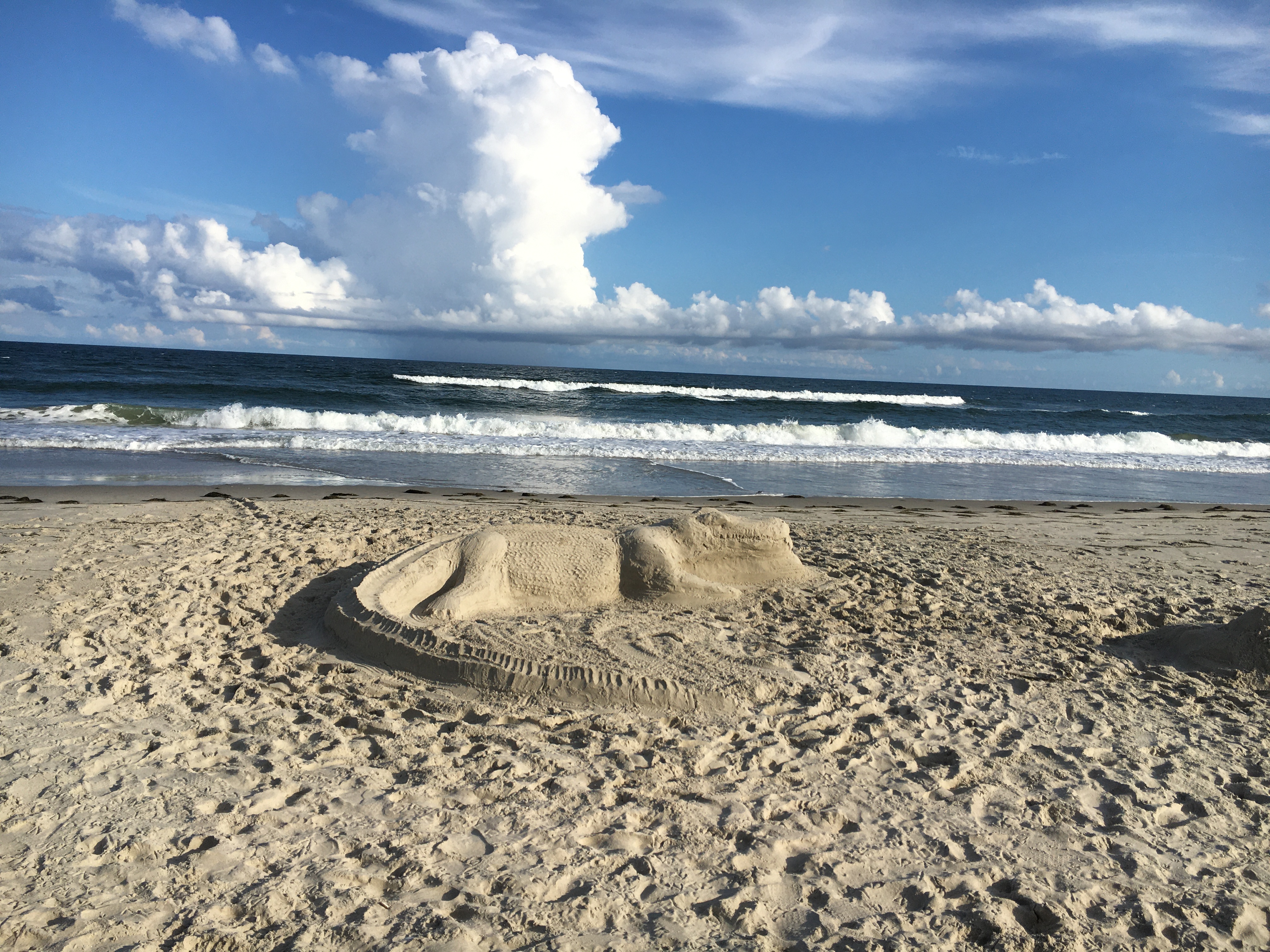 Isola di Ocracoke: La Perla delle Banche Esterne - Ocracoke | Secret World Trip Planner