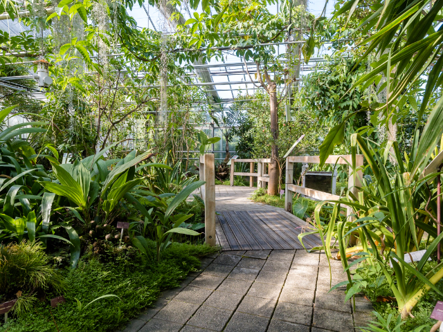 Brestské národné botanické konzervatórium - Brest | Secret World Trip Planner