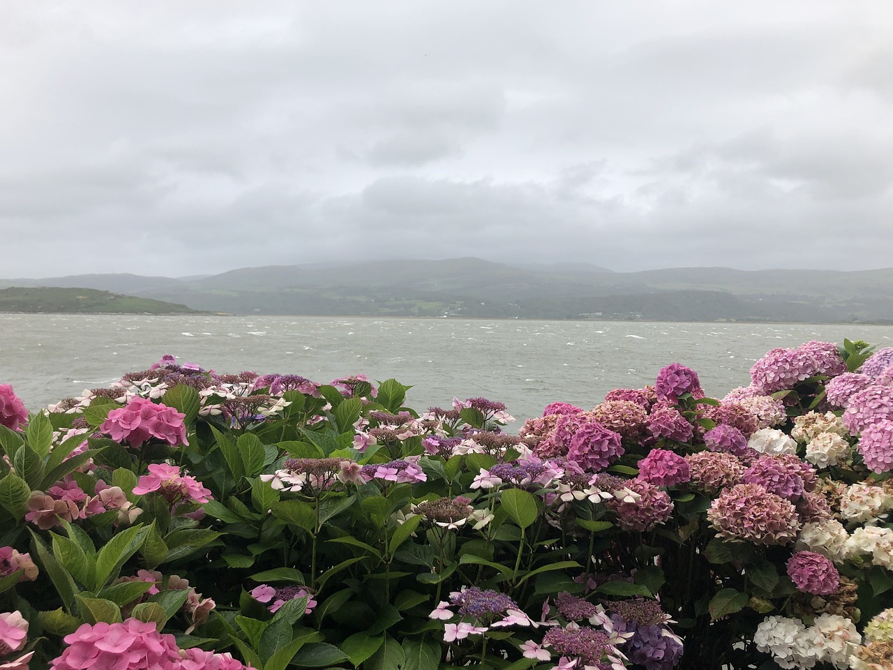 Portmeirion: the border to fantasyland - Portmeirion | Secret World Trip Planner